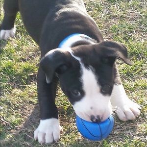 Meet your Posher, Alexus